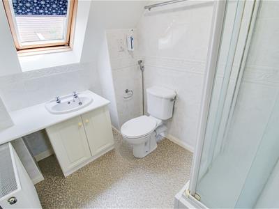 Picture 17